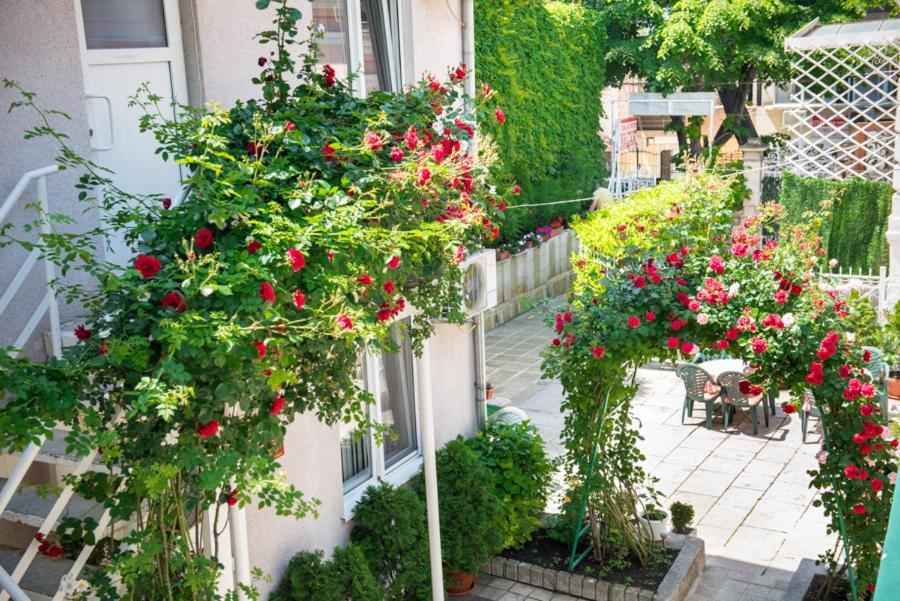 Hotel Relax فارنا المظهر الخارجي الصورة